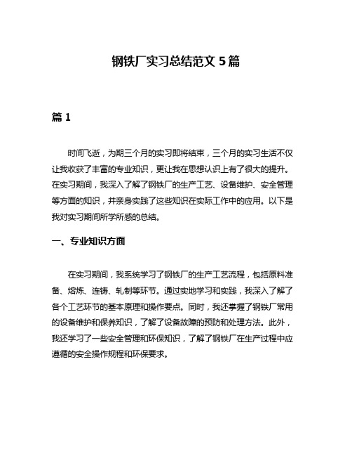 钢铁厂实习总结范文5篇