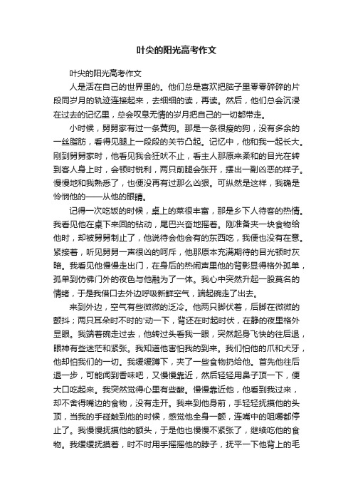 叶尖的阳光高考作文