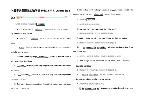 高考英语一轮复习 第1 Module 5 A Lesson i