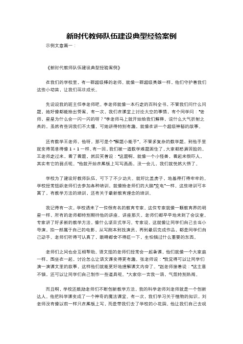 新时代教师队伍建设典型经验案例