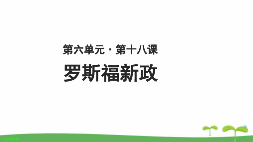 《罗斯福新政》教学PPT课件【人教版高中历史必修2】