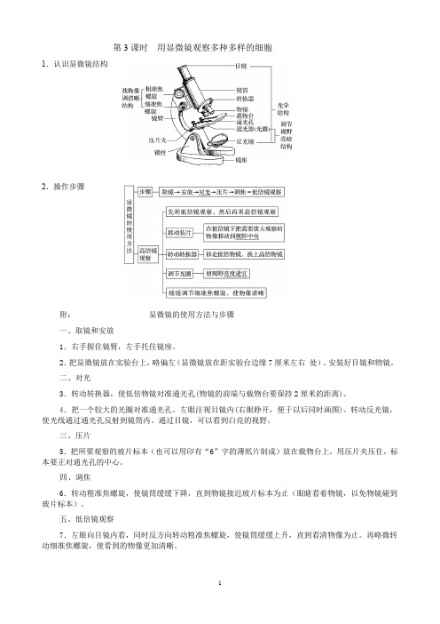 第3课  用显微镜观察多种多样的细胞