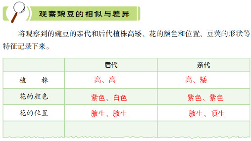 冀人版小学科学六年级上册活动手册答案