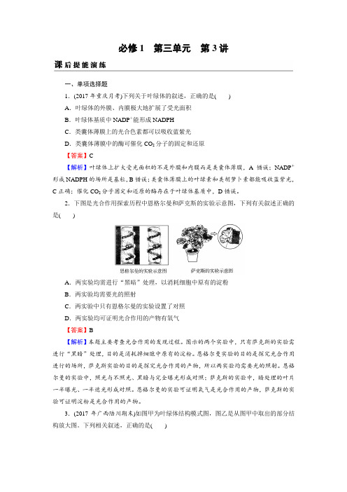 【全优课堂】2019届高考生物一轮复习：必修1 第3单元 第3讲 课后