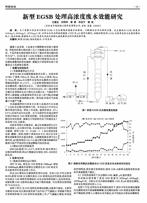 新型EGSB处理高浓度废水效能研究