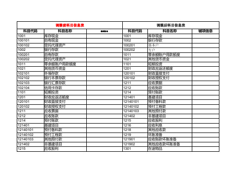 新政府会计科目明细表