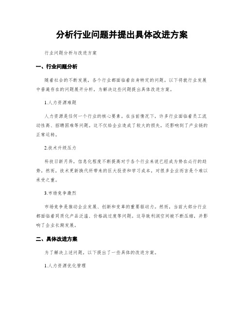 分析行业问题并提出具体改进方案