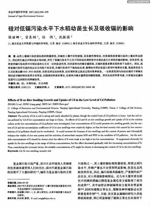 硅对低镉污染水平下水稻幼苗生长及吸收镉的影响