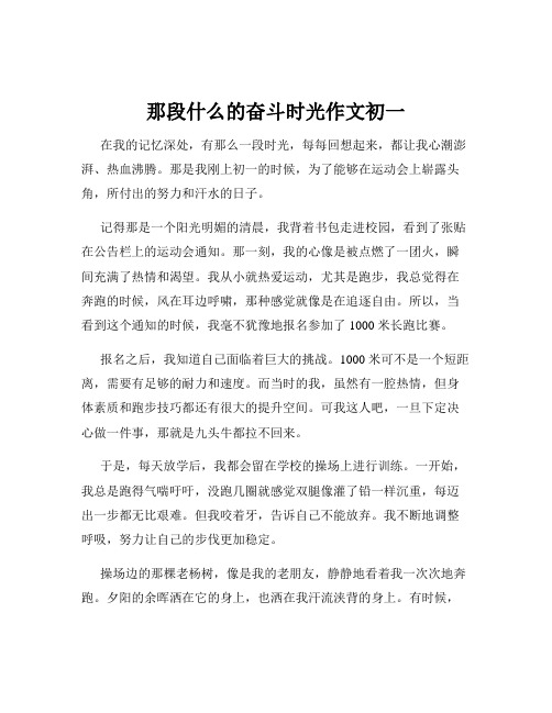 那段什么的奋斗时光作文初一