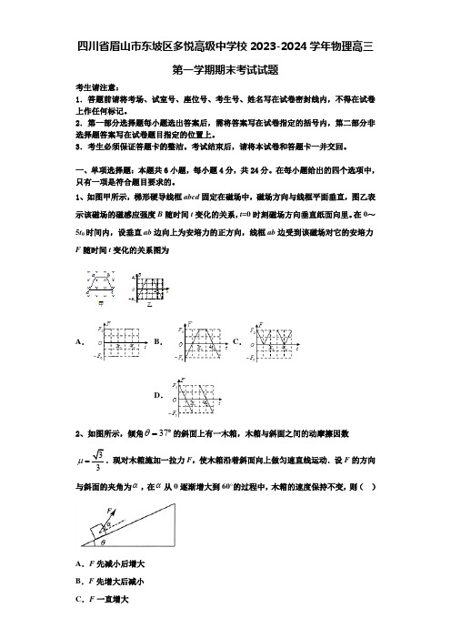 四川省眉山市东坡区多悦高级中学校2023-2024学年物理高三第一学期期末考试试题含解析