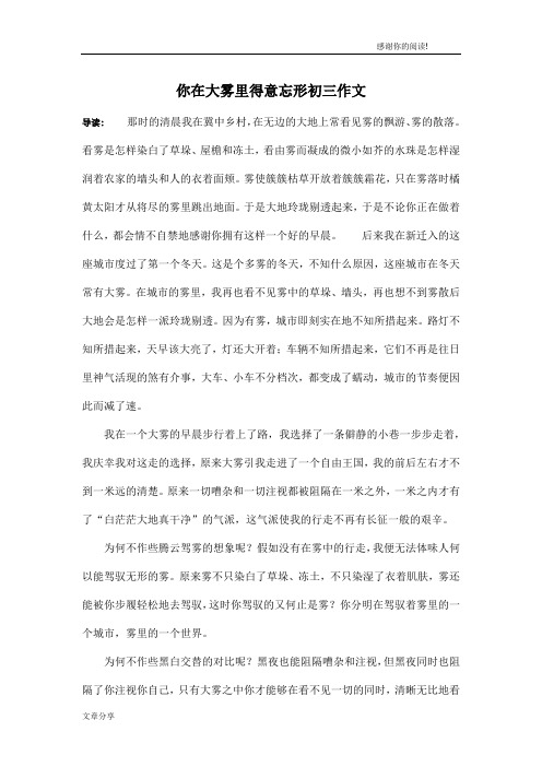 你在大雾里得意忘形初三作文