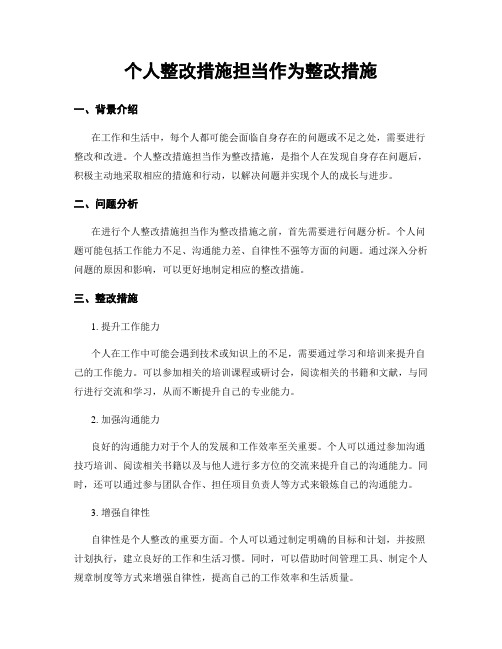 个人整改措施担当作为整改措施