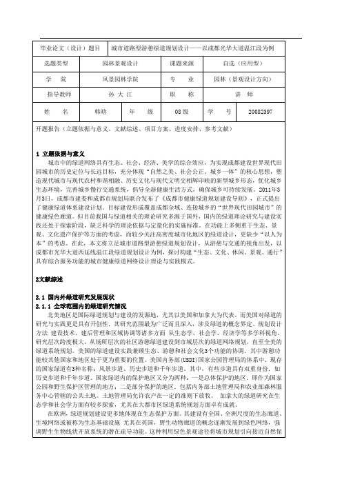 范文-开题报告——韩晗