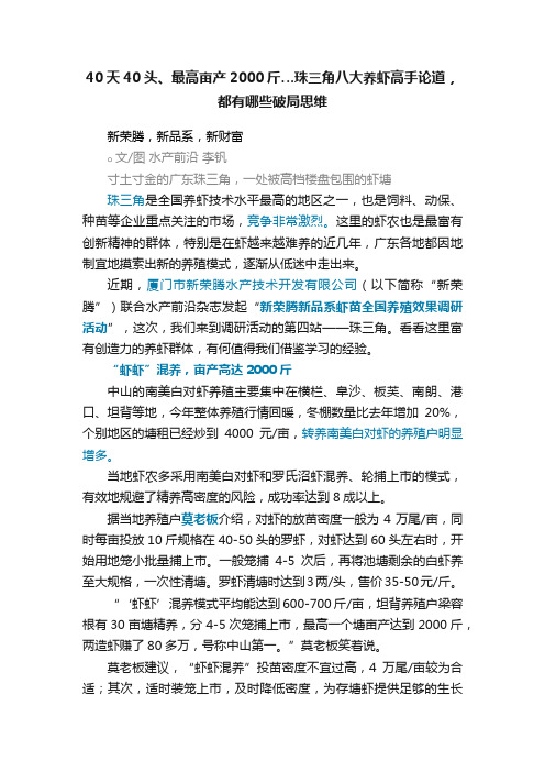 40天40头、最高亩产2000斤…珠三角八大养虾高手论道，都有哪些破局思维