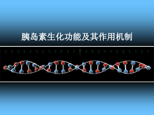 胰岛素生化功能及作用机制