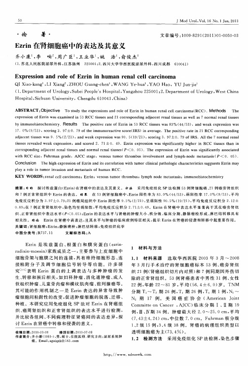 Ezrin在肾细胞癌中的表达及其意义