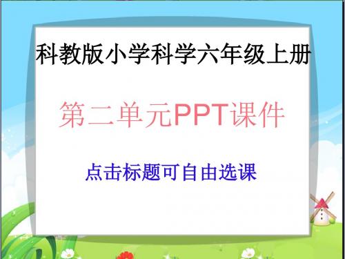 科教版小学科学六年级上册第二单元PPT课件