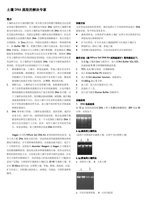 土壤DNA提取的解决专家