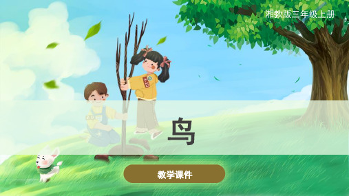 湘科版(新)小学三年级科学上册 《鸟》原创课件