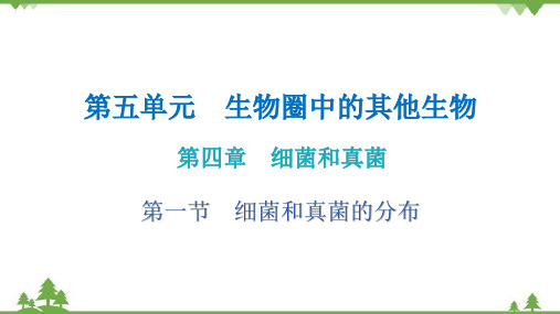 人教版生物八年级上册 第五单元第四章第一节  细菌和真菌的分布课件(共18张PPT)