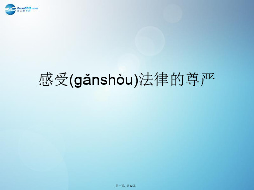 七年级政治下册 感受法律的尊严对点助学课件 新人教版