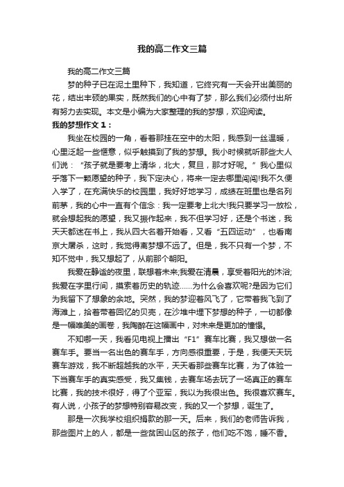 我的高二作文三篇