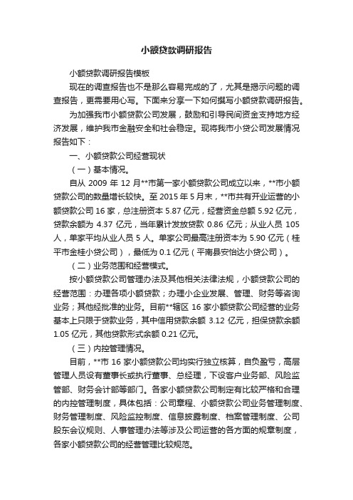 小额贷款调研报告