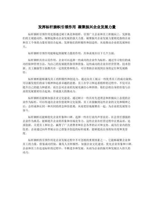 发挥标杆旗帜引领作用 凝聚振兴企业发展力量