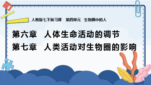 第四单元第6章 人体生命活动的调节、第7章 人类活动对生物圈的影响(复习课件)七年级生物下册人教版