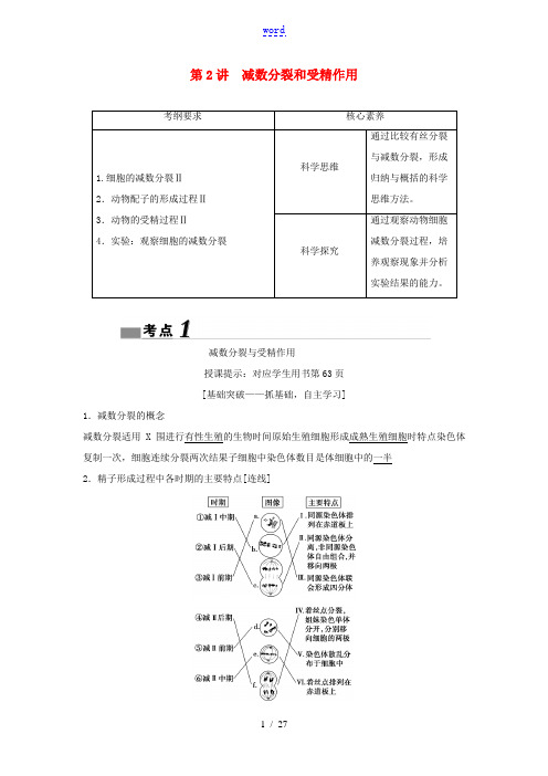 (新课标)高考生物一轮总复习 第4单元 第2讲 减数分裂和受精作用教案-人教版高三全册生物教案