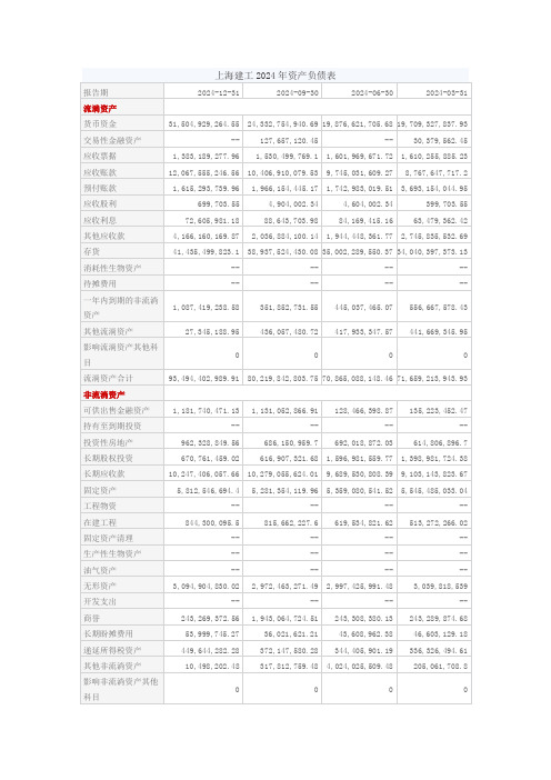 财务管理-上海建工2024年资产负债表