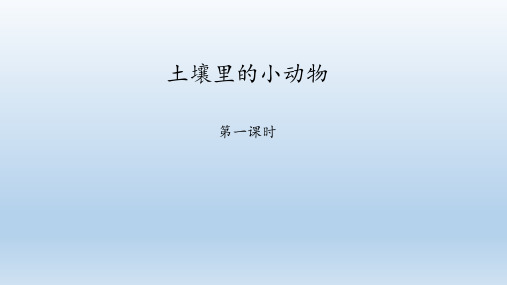 苏科版生物七年级下册：13.1 土壤里的小动物  课件(共42张PPT)