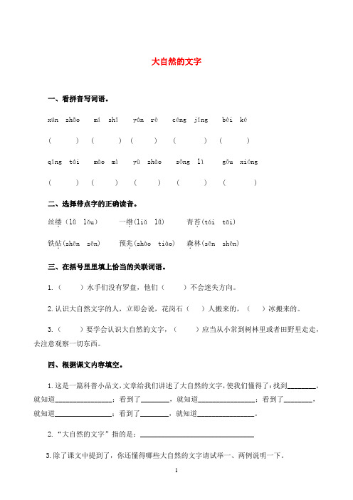 六年级语文上册 大自然的文字练习 苏教版