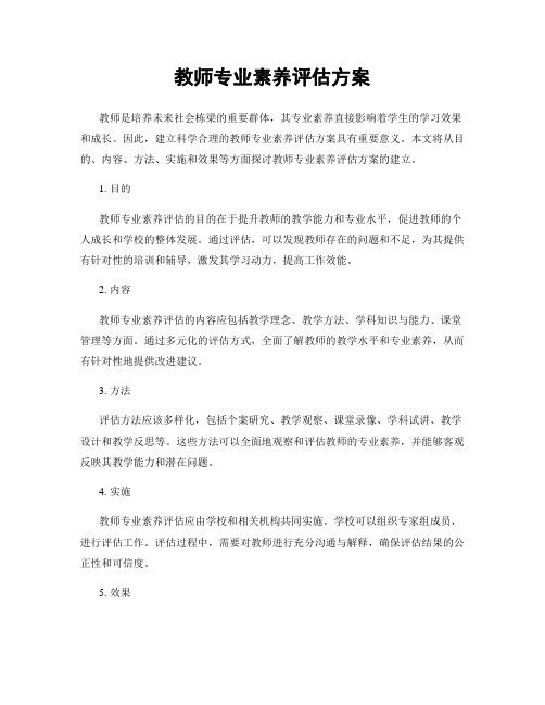 教师专业素养评估方案