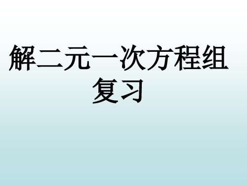 七年级数学解二元一次方程组复习