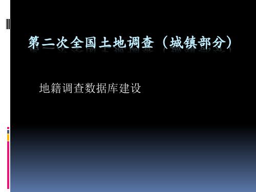 第二次全国土地调查(城镇部分)分解