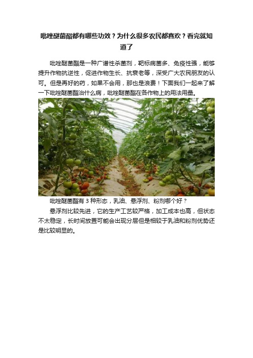 吡唑醚菌酯都有哪些功效？为什么很多农民都喜欢？看完就知道了