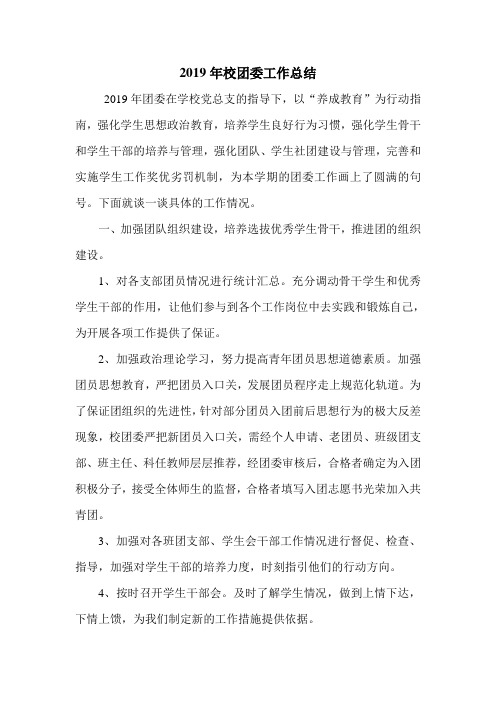 2019年校团委工作总结