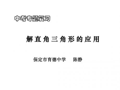 中考专题复习解直角三角形的应用(新编201908)