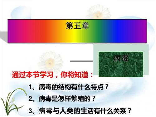 人教版_ 八年级上册_第五单元第五章 病毒(26张ppt)