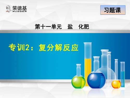 专训2:复分解反应
