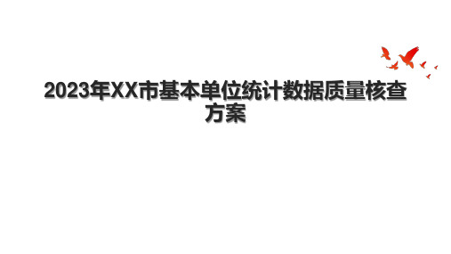 2023年XX市基本单位统计数据质量核查方案