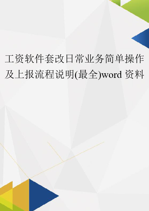 工资软件套改日常业务简单操作及上报流程说明(最全)word资料