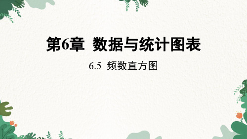 6.5 频数直方图 浙教版数学七年级下册课件