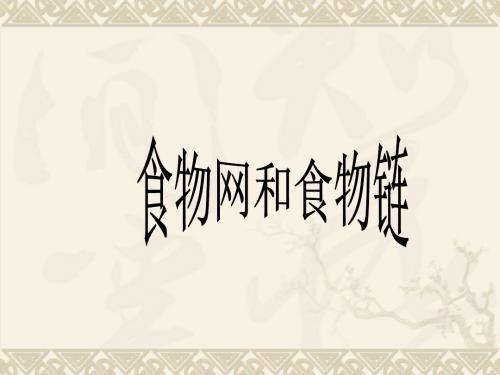 教科版小学科学五年级上册第一单元《食物网和食物链》课件