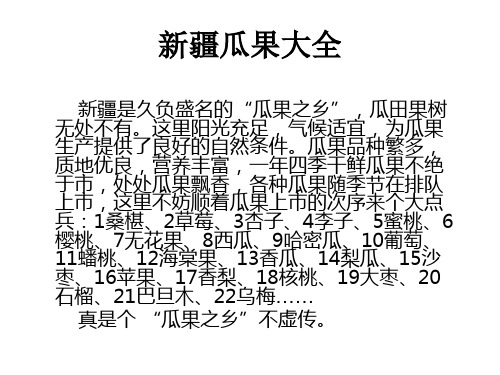 新疆干果市场分析PPT课件