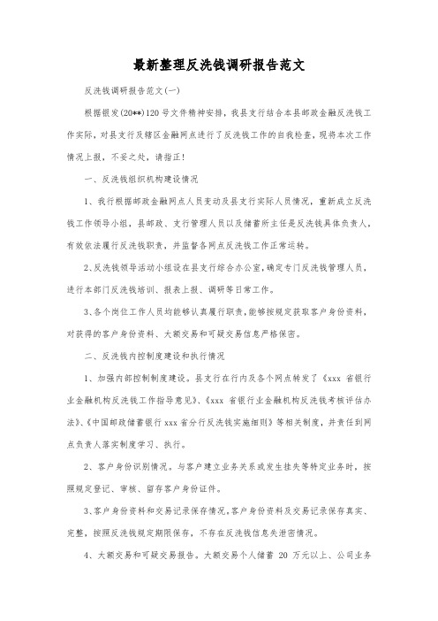 最新整理反洗钱调研报告范文.docx