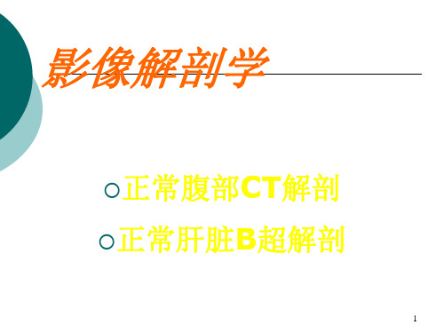 影像解剖学ppt课件