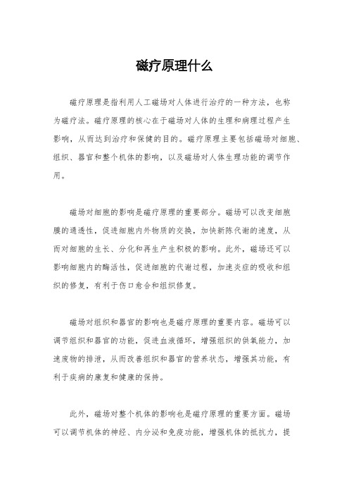 磁疗原理什么