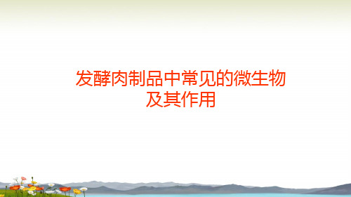 发酵肉制品中国常见的微生物及其作用可修改文字